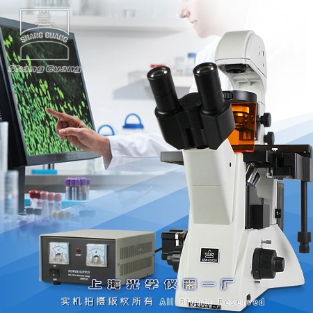 XSP-63XDV倒置荧光显微镜
